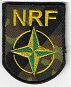 NRF TISS-2.jpg