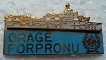 ORAGEFORPRO PINS-2