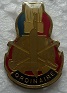 ORDIN PINS-2.jpg
