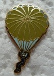 PARA4 PINS-2.jpg