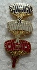 PARAFRANCE PINS-2.jpg