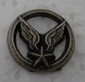 PINSBERETALAT1 PINS-2.jpg