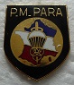 PM PARA PINS-2.jpg