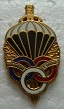 PMP PINS-2.jpg