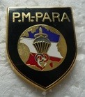 PMPARA PINS-2.jpg