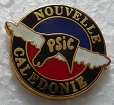 PSICNC PINS-2.jpg