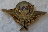 RLA3ESC PINS-2.jpg