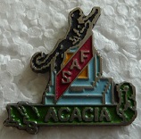 SAFACACIA PINS-2