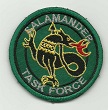 SALAMTASKFORCE TISS-2