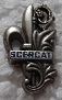 SCERCAT PINS-2.jpg