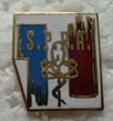 SPRA PINS-2.jpg