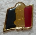 SSA2 PINS-2.jpg