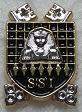 SSI PINS-2