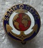 SSMM PINS-2.jpg