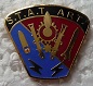 STATART PINS-2.jpg