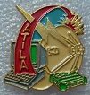 SYSTATILA PINS-2.jpg