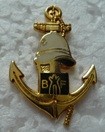 TDMBF PINS-2.jpg