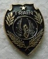 TRAIN3 PINS-2.jpg