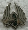 TRAINAILES PINS-2.jpg